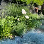 דירה Weberhof - 5 מונסטר