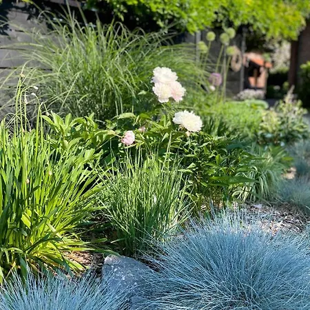 Апартаменты Weberhof - 5 Мюнстер