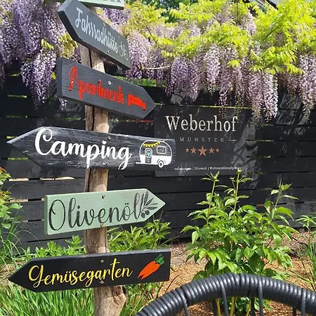 Apartment Weberhof -