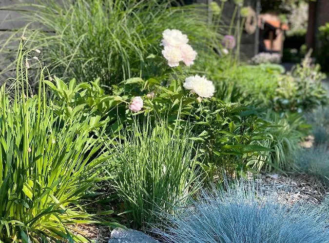 شقة Weberhof - 5 مونستر