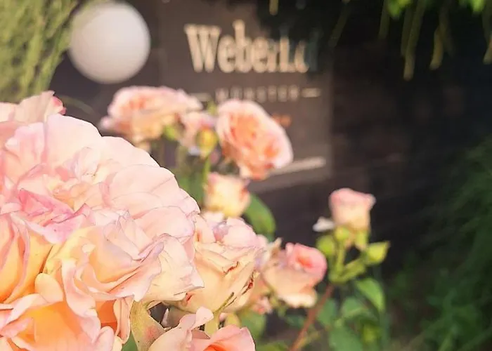 Weberhof - 5 Appartement